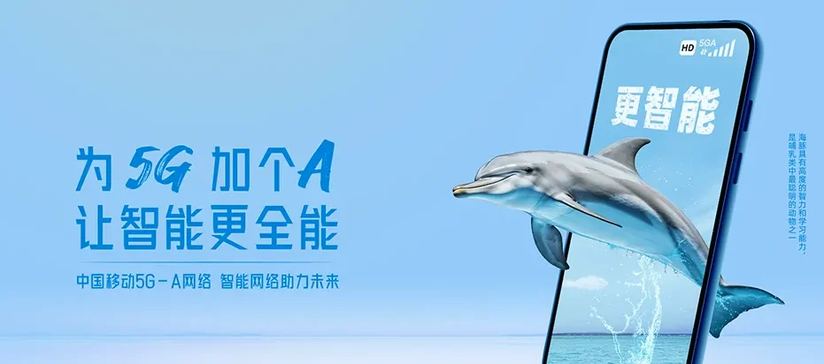 积石山保安族东乡族撒拉族自治县积石山保安族东乡族撒拉族自治县石塬乡 移动宽带